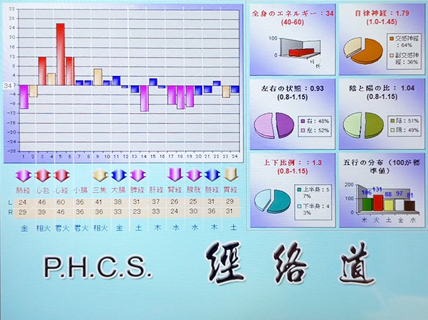 体力や気のバランスが表示された経絡測定結果